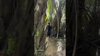 Mancing di sungai kampar mengunakan umpan penghuni parit 