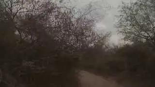 Motorally Paratodo 2013