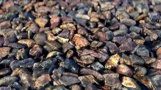 4k rock stucco seamless vray/corona material