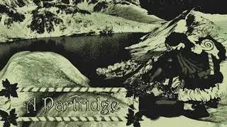 A Partridge (HORSE the band chiptune cover)