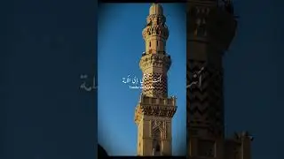 ✨YA NABI❤️🤲🏻✨#nabi #rasoolepak #miladunnabi #rasoolallah #rasoolekhuda #shorts
