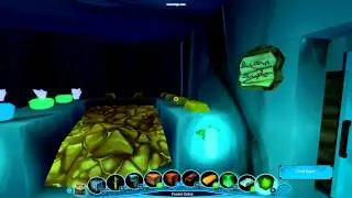 Windborne: Malik's Forest Bank