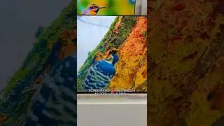 New Edition Ultrapix Led Tv | Smart Led Tv | Tv in Bangalore | NZ Enterprises
