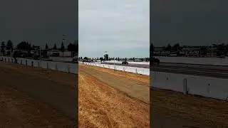 #bugs #racing