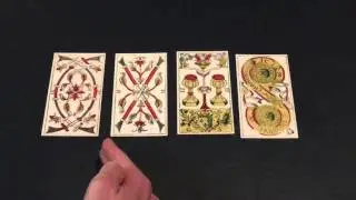 Visual similarities across number