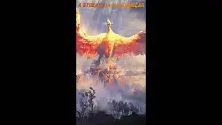 IS TIME TO REBORN, VOLCANIC FISSURE WARRIOR ❗DISCORD ❗PIX