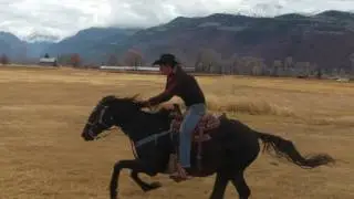 Horse Riding in Slow Motion