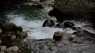 Natural River Sound for Deep Sleep | Stress Relief Audio for Health & Mindfulness