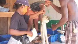 Working with local people