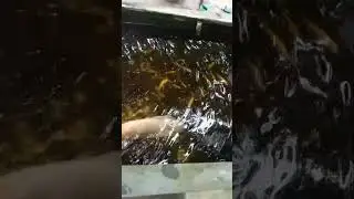 Nature Water Sounds | Peaceful Fish Pond Fountain
