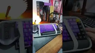 Mechanical Keyboard Travel Case - Geekria Tenkeyless TKL Keyboard Case #shorts