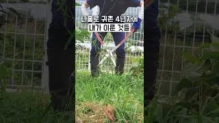 여자 혼자 시골 살면서 이룬 것들ㅋㅋㅋㅋ
