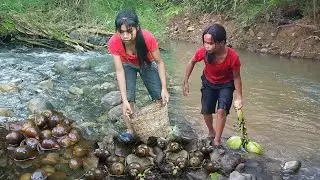 Life in jungle, Snails boiled with Coconut water So delicious food for dinner