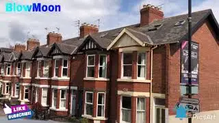 Sightseeing In Back Side Open Top Bus York UK | BlowMoon
