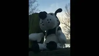 Boris, the wolf edit