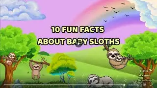10 FUN FACTS ABOUT BABY SLOTHS