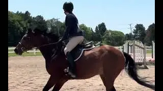 Five Corner at Fields and Fences 2&rsquo;0 hunters June 28th 2025 2nd place