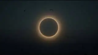 Fearless Eclipse Rise From the Shadows