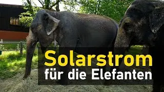 Solarstrom f&uuml;r die Elefanten im Tierpark Str&ouml;hen