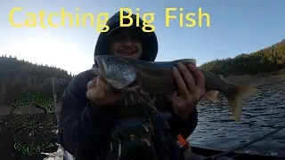 Catching big fish out of my old town next canoe