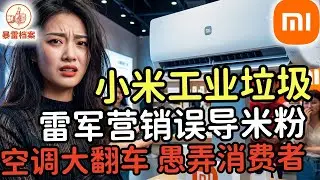 塌房继续！雷军小字游戏愚弄米粉，小米空调气炸了米粉，名字竟是骗局。律师看了发愁。