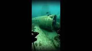 Found Crashed Plane Underwater! ✈️😱, Real Aircraft Wreck Discovered On Ocean Floor 🌊