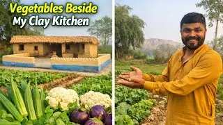 The &ldquo;Growing Fresh Vegetables Beside My Clay Kitchen | Organic Desi Kitchen Garden Tour&rdquo;