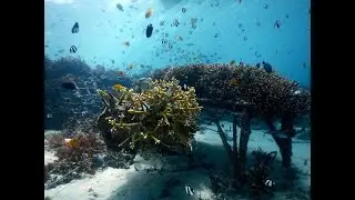 Blue Renewable Energy to Restore Coral Reefs by Gili Eco Trust