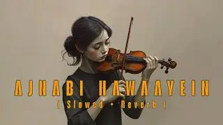 Ajnabi Hawaayein Lofi [Slowed + Reverb] | Shreya Ghoshal | Empty Echoes