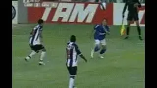 Kerlon seal dribble