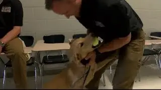 Flathead County Sheriff''s Office gets new K9 unit