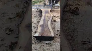 The last of the yellow birch slabs!