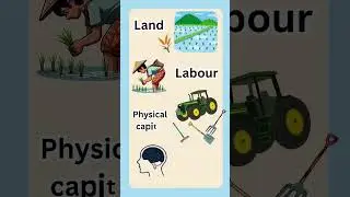 Palampur Story Explained | Class 9 Economics Chapter 1 | Easy Intro #shorts #class9 #class9economics