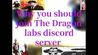 Why you should join the Dragon labs Discord server