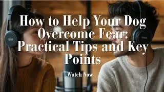 How to Help Your Dog Overcome Fear  Practical Tips and Key Points...