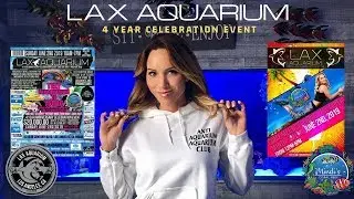 LAX AQUARIUM 4 Year Celebration Event - Mindi's Coral Reef
