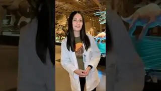 Рогатые динозавры в Европе: никогда не пропадают (2026). #динозавры #животные #окаменелости