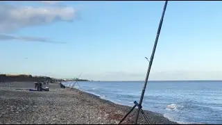 diawa open live beach fishing
