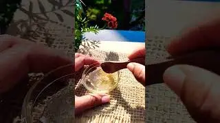 Honey Sugar lips scrub ll Natural lips scrub ll Home Remedies DIY