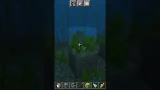 Look what I found a really rare ocean moment.