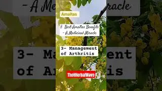 5 fascinating health benefits of Amaltas(cassia fistula) #healthy #medicinal #viralvideo #ytshorts