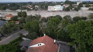 Big Signal Quad