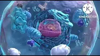 # cell structure and function # class 8 # science # pragya learning tube 💥 👉