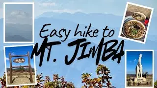 Easy Mt. Jinba Hike | Beginner-Friendly Trail Near Tokyo | Japan Travel Vlog 🇯🇵