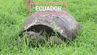 ¿Qué necesitas saber como mexicano para viajar al Ecuador?