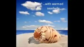Sea Shell Massage
