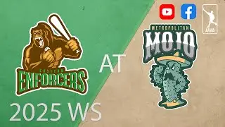 Enforcers vs. Mojo | 2025 World Series | AWA Wiffle Ball