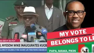 Wike hit Peter obi below the Belt...Is he right?
