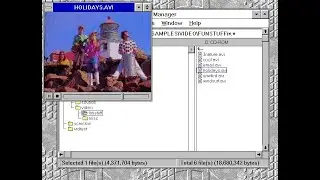 Windows 3.1 plays Microsoft Multimedia Pack 1.0 (1993) CD AVI samples