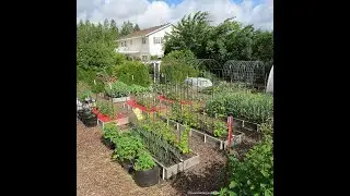 Plant Supports: Everyone Can Grow a Garden (2021) #18